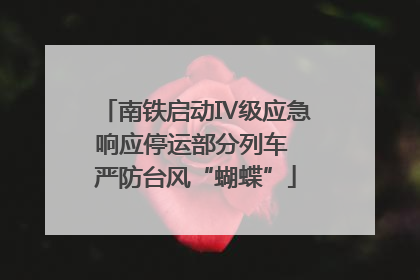 南铁启动Ⅳ级应急响应停运部分列车 严防台风“蝴蝶”