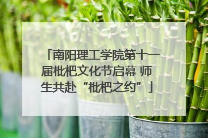 南阳理工学院第十一届枇杷文化节启幕 师生共赴“枇杷之约”