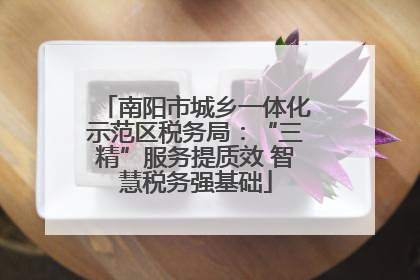 南阳市城乡一体化示范区税务局：“三精”服务提质效 智慧税务强基础
