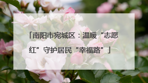 南阳市宛城区：温暖“志愿红”守护居民“幸福路”