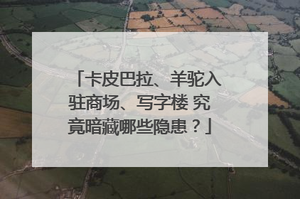 卡皮巴拉、羊驼入驻商场、写字楼 究竟暗藏哪些隐患？