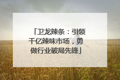 卫龙辣条：引领千亿辣味市场，勇做行业破局先锋
