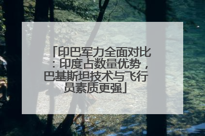 印巴军力全面对比：印度占数量优势，巴基斯坦技术与飞行员素质更强