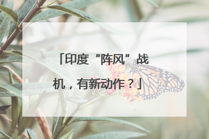 印度“阵风”战机，有新动作？