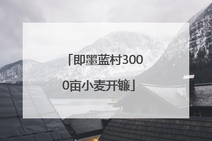 即墨蓝村3000亩小麦开镰