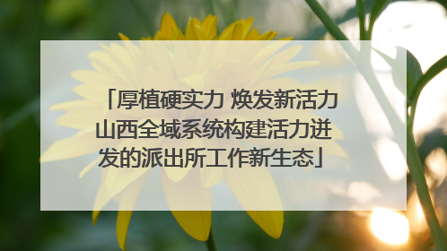 厚植硬实力 焕发新活力 山西全域系统构建活力迸发的派出所工作新生态