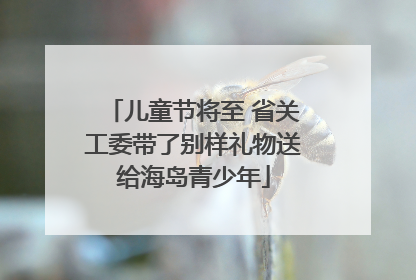 儿童节将至 省关工委带了别样礼物送给海岛青少年
