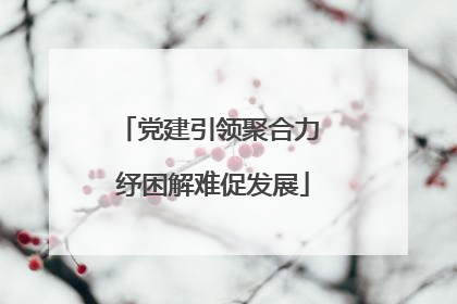 党建引领聚合力 纾困解难促发展