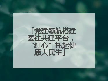 党建领航搭建医社共建平台，“红心”托起健康大民生