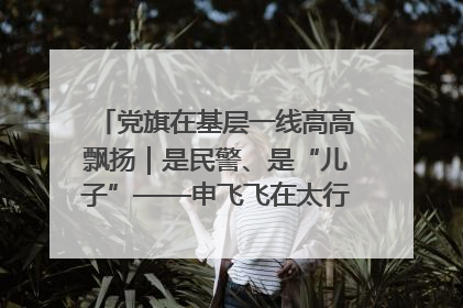 党旗在基层一线高高飘扬｜是民警、是“儿子”——申飞飞在太行山中的一线坚守
