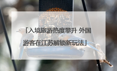 入境旅游热度攀升 外国游客在江苏解锁新玩法