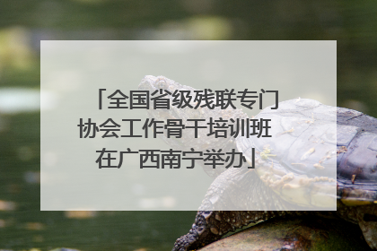 全国省级残联专门协会工作骨干培训班在广西南宁举办