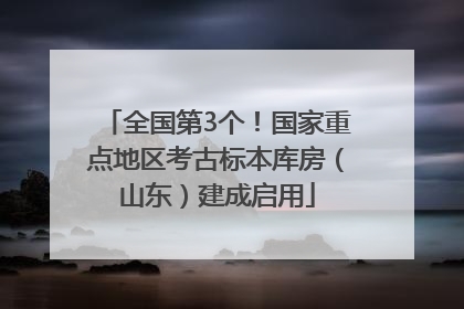 全国第3个！国家重点地区考古标本库房（山东）建成启用