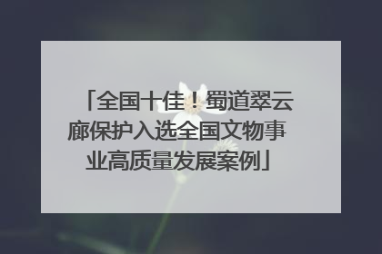 全国十佳！蜀道翠云廊保护入选全国文物事业高质量发展案例