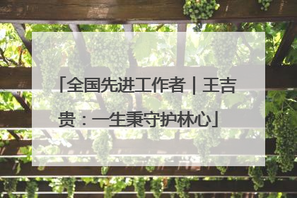 全国先进工作者｜王吉贵：一生秉守护林心