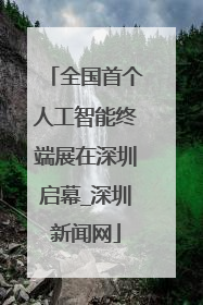全国首个人工智能终端展在深圳启幕_深圳新闻网