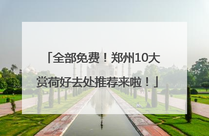 全部免费！郑州10大赏荷好去处推荐来啦！