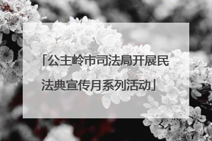 公主岭市司法局开展民法典宣传月系列活动