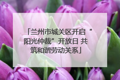 兰州市城关区开启“阳光仲裁”开放日 共筑和谐劳动关系