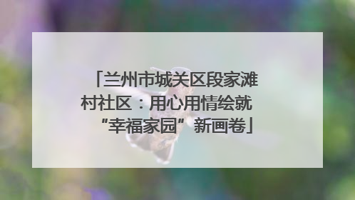 兰州市城关区段家滩村社区：用心用情绘就“幸福家园”新画卷