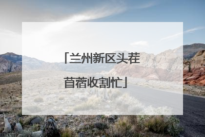 兰州新区头茬苜蓿收割忙