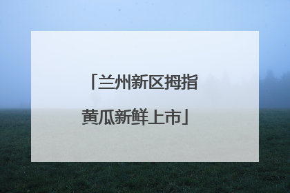兰州新区拇指黄瓜新鲜上市
