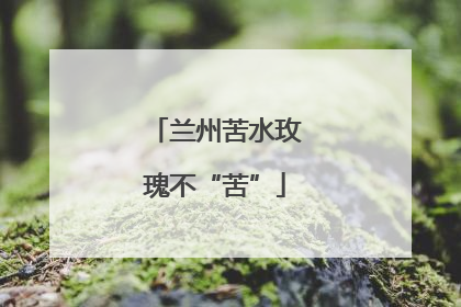 兰州苦水玫瑰不“苦”