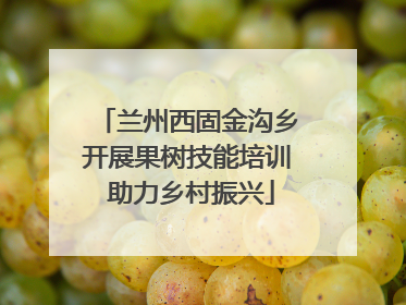 兰州西固金沟乡开展果树技能培训 助力乡村振兴