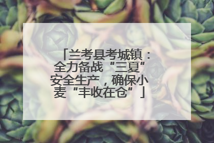 兰考县考城镇：全力备战“三夏”安全生产，确保小麦“丰收在仓”