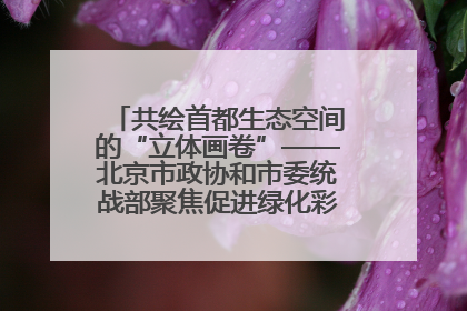 共绘首都生态空间的“立体画卷”——北京市政协和市委统战部聚焦促进绿化彩化美化生态空间建设联合协商议政
