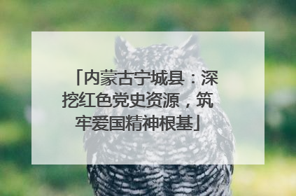 内蒙古宁城县：深挖红色党史资源，筑牢爱国精神根基