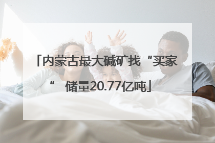 内蒙古最大碱矿找“买家” 储量20.77亿吨