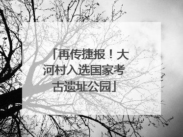 再传捷报！大河村入选国家考古遗址公园