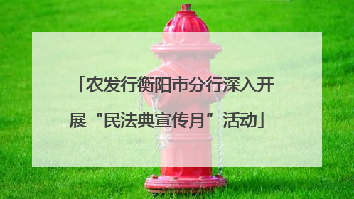 农发行衡阳市分行深入开展“民法典宣传月”活动