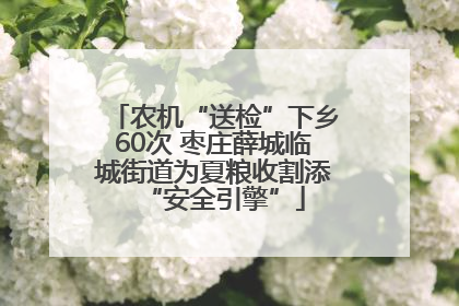 农机“送检”下乡60次 枣庄薛城临城街道为夏粮收割添“安全引擎”