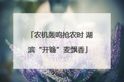 农机轰鸣抢农时 湖滨“开镰”麦飘香