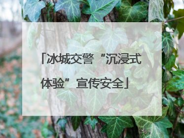 冰城交警“沉浸式体验”宣传安全