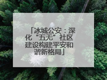 冰城公安：深化“五无”社区建设构建平安和谐新格局