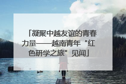 凝聚中越友谊的青春力量——越南青年“红色研学之旅”见闻