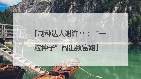制种达人谢许平：“一粒种子”闯出致富路