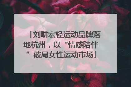 刘畊宏轻运动品牌落地杭州，以“情感陪伴”破局女性运动市场