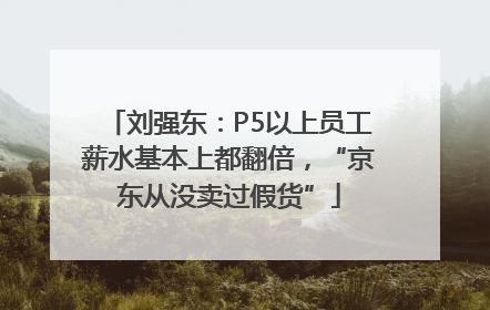 刘强东：P5以上员工薪水基本上都翻倍，“京东从没卖过假货”
