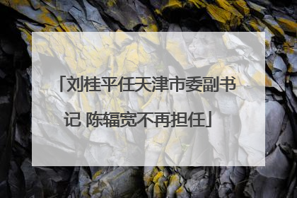 刘桂平任天津市委副书记 陈辐宽不再担任