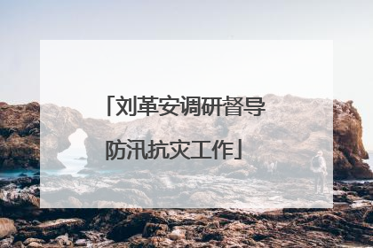 刘革安调研督导防汛抗灾工作