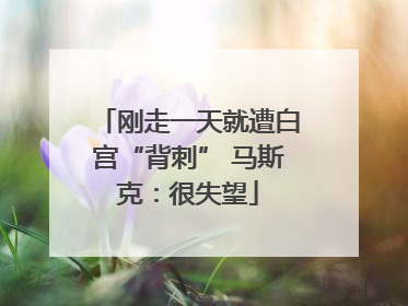 刚走一天就遭白宫“背刺” 马斯克：很失望