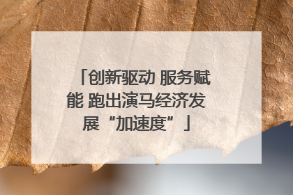 创新驱动 服务赋能 跑出演马经济发展“加速度”