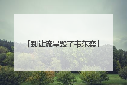 别让流量毁了韦东奕