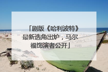剧版《哈利波特》最新选角出炉，马尔福饰演者公开