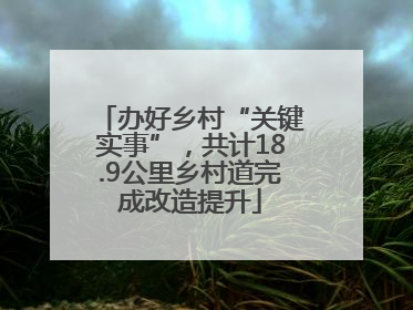 办好乡村“关键实事”，共计18.9公里乡村道完成改造提升