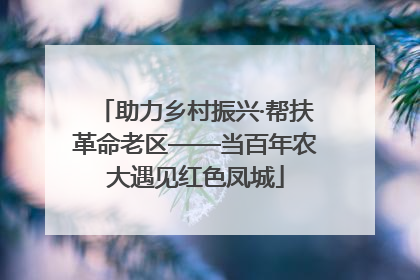 助力乡村振兴·帮扶革命老区——当百年农大遇见红色凤城